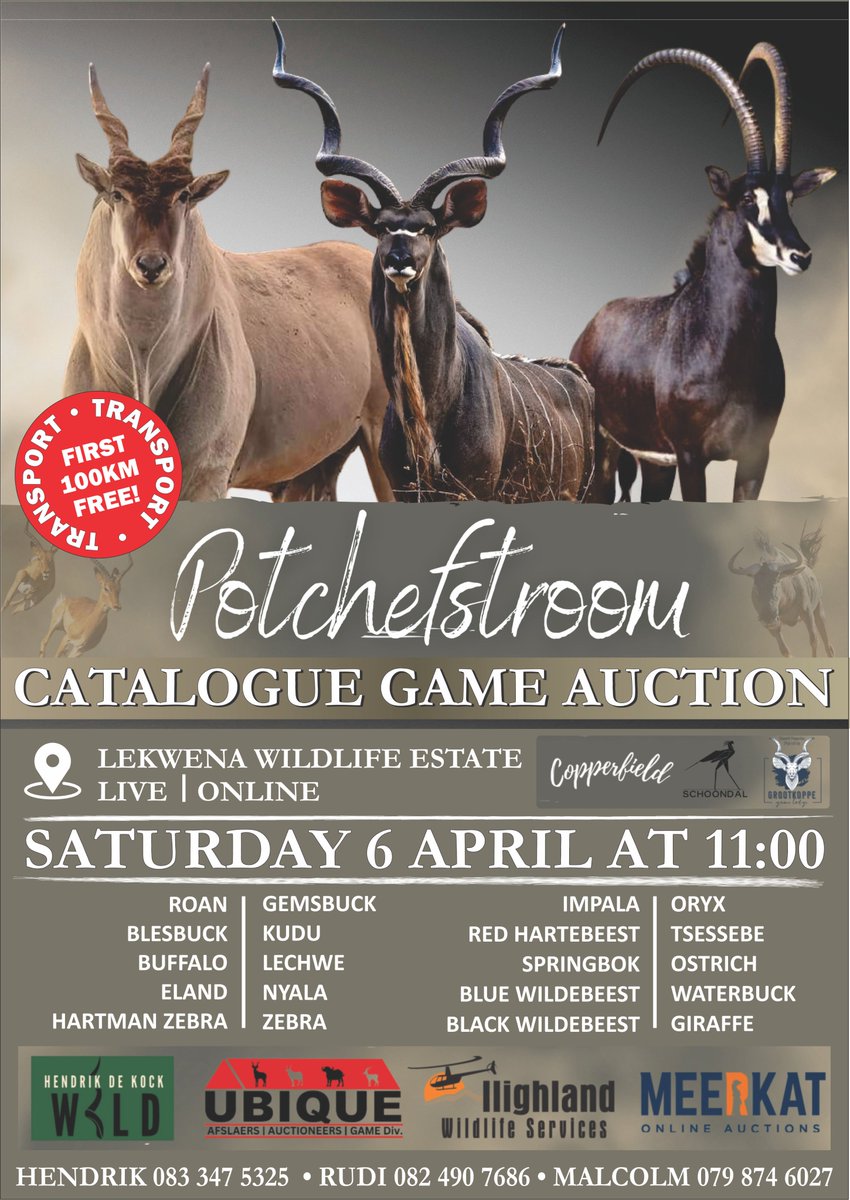 Stockfarmmag's tweet photo. Potchefstroom catalogue #gameauction hosted by #UbiqueAuctioneers on 6 April 2024 at 11:00 live on online via the Meerkat App. Contact Rudi 0824907686 or Hendrik 0833475325 or click on https://t.co/HvCWh5GLbw for more information. #MeerkatOnline #Auction https://t.co/kv2sRDOfiB