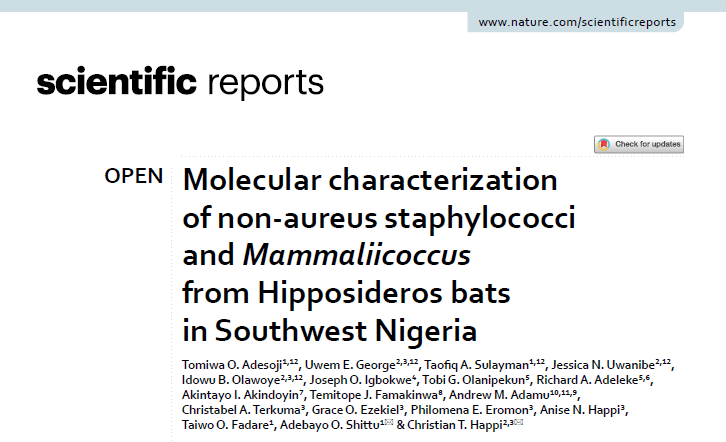📢We have a new publication in @SciReports! We investigated the presence of antibiotic-resistant bacteria in #bats from @OAUniversity Nigeria, to shed light on potential public health risks associated with these mammals. We identified a few bacteria in the bats' throats. #AMR