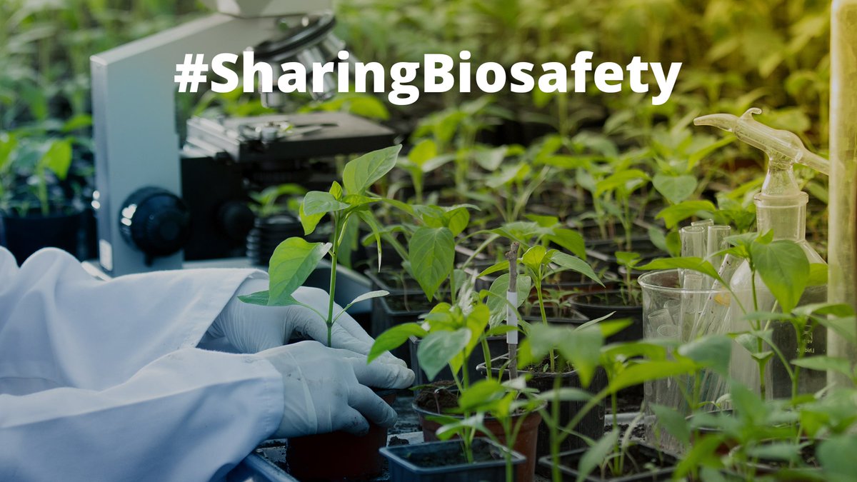 UNBiodiversity's tweet image. The #Biosafety Clearing-House facilitates access to reliable and up-to-date information on national biosafety laws, approved living modified organisms (#LMOs) for import as well as scientific information.

Learn more at bch.cbd.int