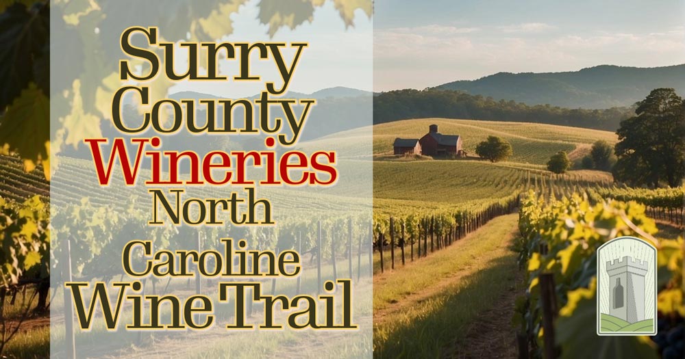 🍇Surry County's wine trail awaits! Award-winning wines, stunning landscapes, and rich history.

wanderwinecarriersblog.com/surry-county-w…

#instawine #ncwine #travelnc #visitnc #wilmingtonnc #wine #winelover #wineoclock #winetime #wnc