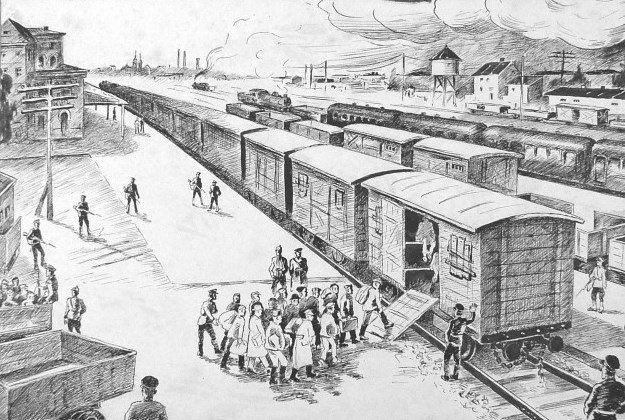 IllimarLepikvonWirén tweet media