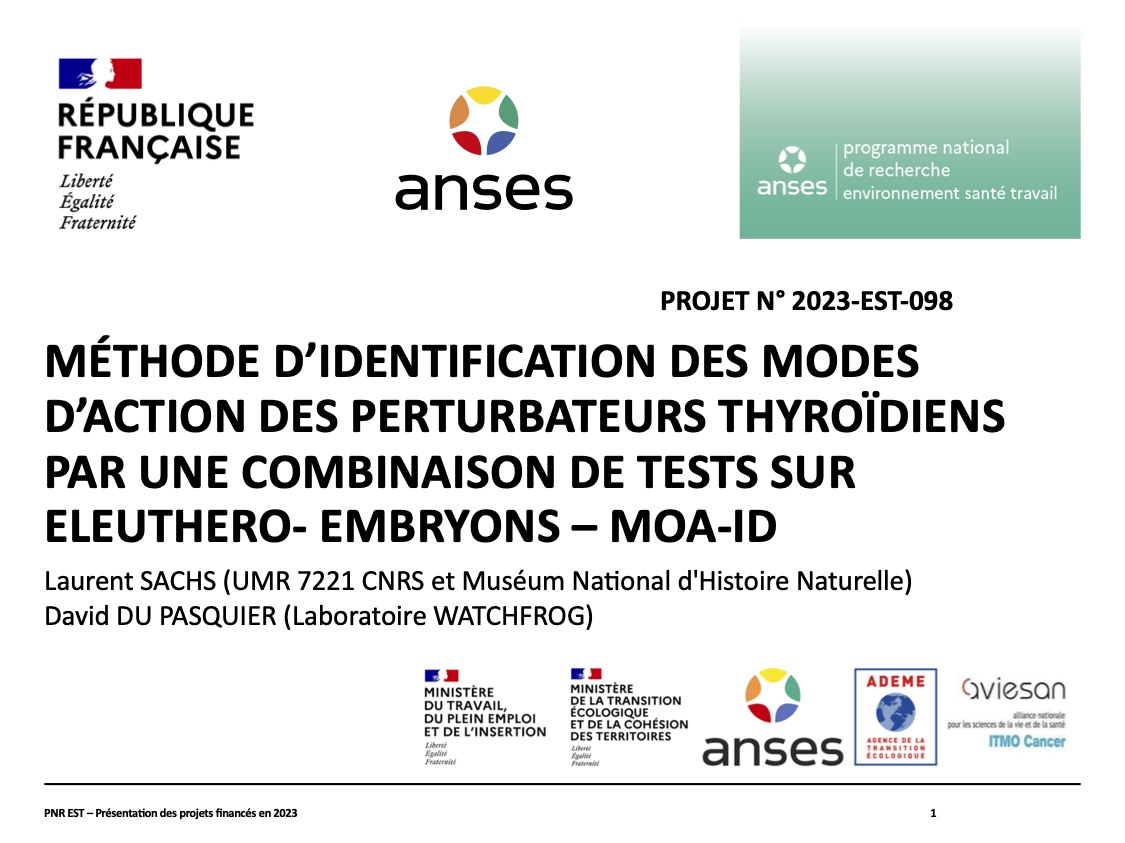 Laboratory of Molecular physiology and adaptation (@umr7221) on Twitter photo Un nouveau projet soutenu par l'ANSES débute au laboratoire. Porté par Laurent Sachs et en collaboration avec <a href="/WatchFrog/">Labo Watchfrog</a> Un nouveau projet soutenu par l'ANSES débute au laboratoire. Porté par Laurent Sachs et en collaboration avec <a href="/WatchFrog/">Labo Watchfrog</a>