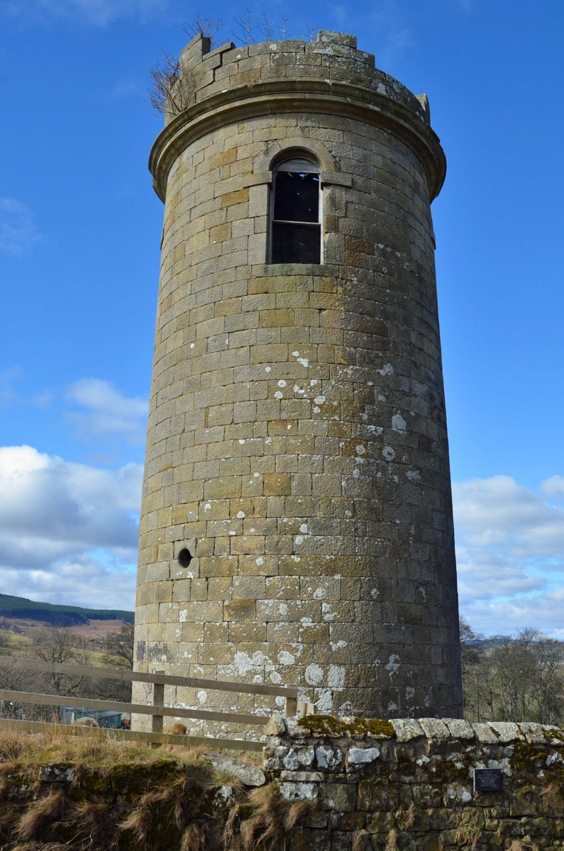 Steve Ellwood tweet media