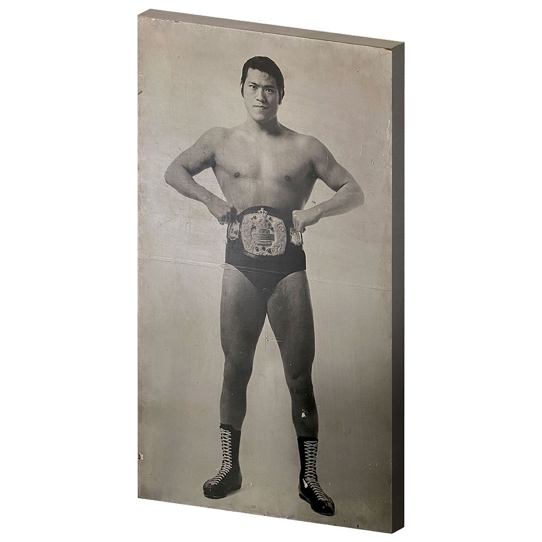 ／ 
　Blu-ray『#アントニオ猪木をさがして』
 　発売まであと2日🔥
＼

完全生産限定版にはアントニオ猪木の顔写真をフロントにデザインしたオリジナル猪木Tシャツと秘蔵写真を収録した豪華フォトブックレットが同梱！

また、完全生産限定版購入者が応募できるプレゼントキャンペーンでは