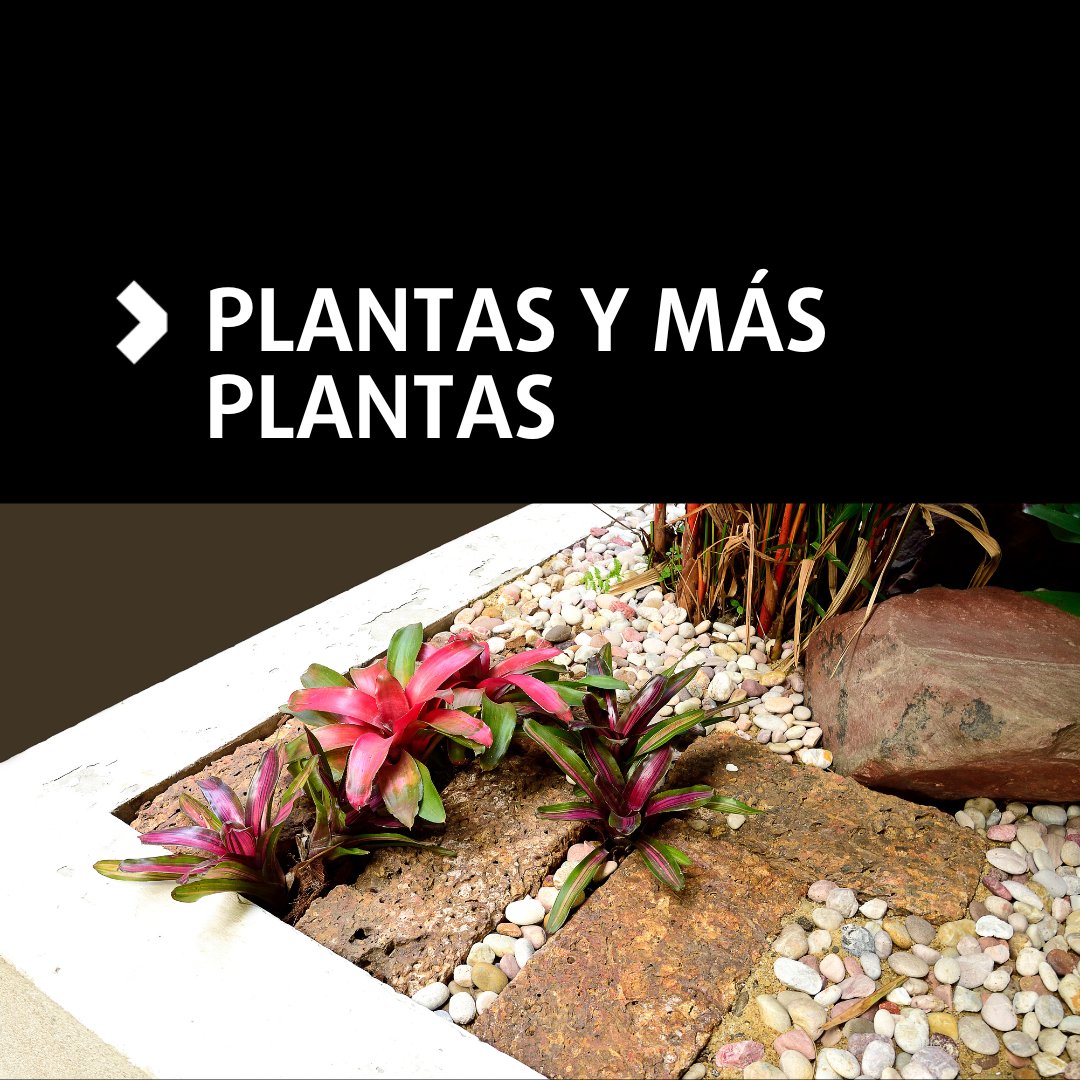 InmoBarin's tweet image. Transforma tu jardín en un oasis con estos consejos:

🌿 Usa muebles que puedas mover a tu gusto.

🪵 Apuesta por la decoración en madera. Un toque natural que no pasa de moda.

🌺 Incluye plantas coloridas, el toque que tu jardín merece.

#inmobiliariabarin #deco #inspo