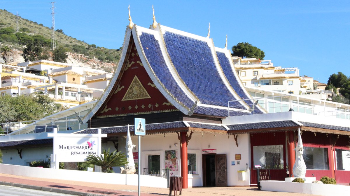 Things To Do in Benalmádena: The Butterfly Park Here the butterflies are actually flying around the visitors, who get to observe their behaviour up close. Visitors can watch as the butterflies break out of their cocoons and spread their colourful wings for the first time.