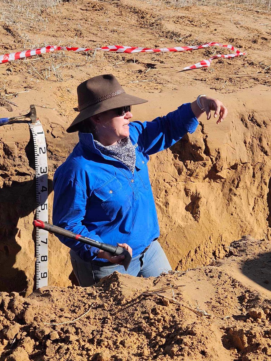 #ouyen farmers had the opportunity today w/ @CassandraSchefe AgriSci to🚶into a soil pit & talk soil profile & constraints to help build resilient soils under vulnerable situations like drought and 👇wind erosion. 💨🌾Catch Cass tomorrow at Cowangie 👉 bit.ly/3vhJeFt