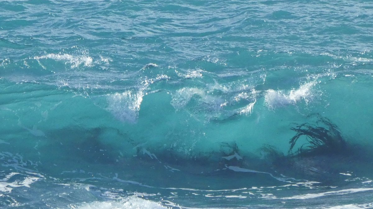 Catherine Munro tweet media