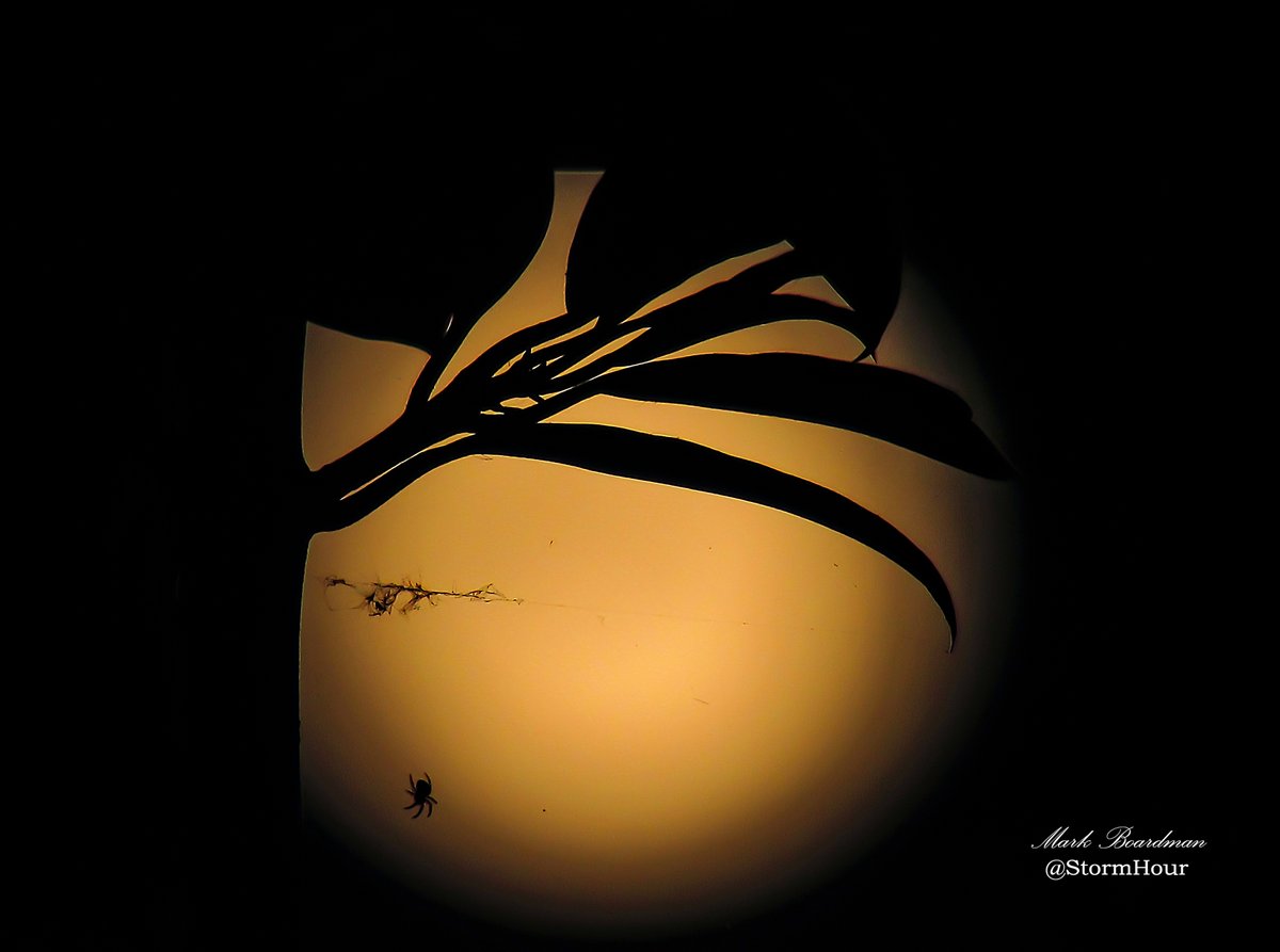 The Theme of the Week is 'The Moon with context'
Pop your moon photos in the thread below. 
We RT the best &amp; pick favourites!

Thank you 🙂📷 ~ Mark
#StormHour #ThePhotoHour #ThemeOfTheWeek   

You can show support by buying us a coffee at ~ ko-fi.com/stormhour