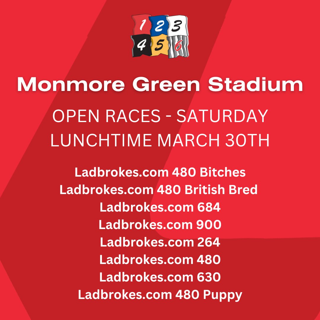 We're looking to hold several Open races in support of both the @PremGreyRacing Puppy Derby and Jim Woods Memorial Trophy finals this Saturday lunchtime 🏆 The full list of Opens are listed below - please contact us on 01902 456663 by 11am on Wednesday for any entries 👍
