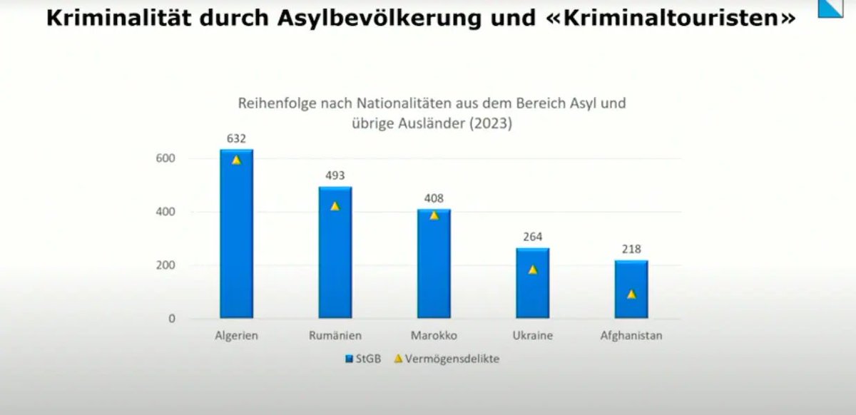 Abgewiesene Asyl-Algerier haben eine Kriminalitätsrate von 91%! Warum nicht direkt in Ausschaffungshaft?