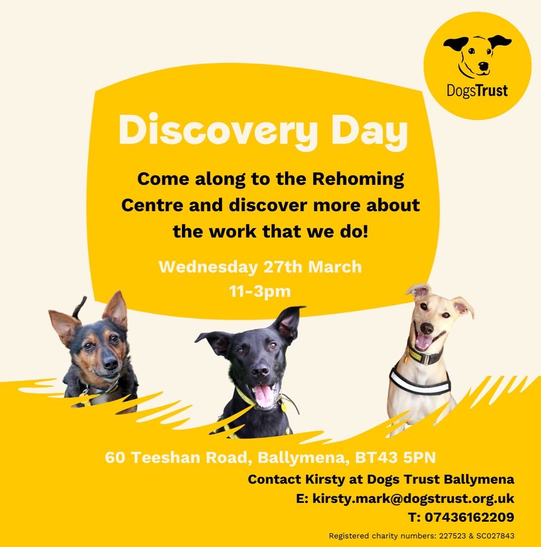 Exciting news! We have a Discovery Day this Wednesday the 27th March here at the Rehoming Centre 🐶🔎 It’s a chance to learn about all things Dogs Trust and see some of the dogs available for rehoming 💛 See you there! 👋

@dogstrust
#ADIFL #DogsNI