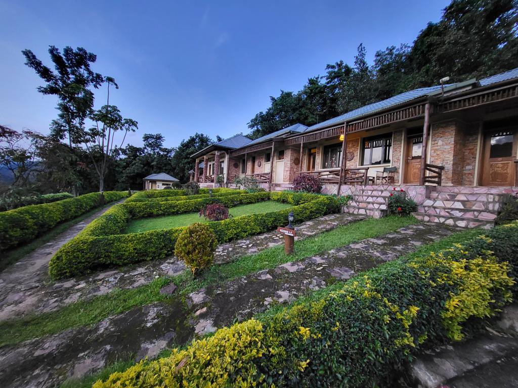 The Coolest Lodges in Bwindi Impenetrable NP!

Gorilla Heights Lodge
Gorilla Safari Lodge
Nkuringo Bwindi Gorilla Lodge 
Trackers Safari Lodge
Silverback Lodge

#UgandaLodges #GorillaTrekking