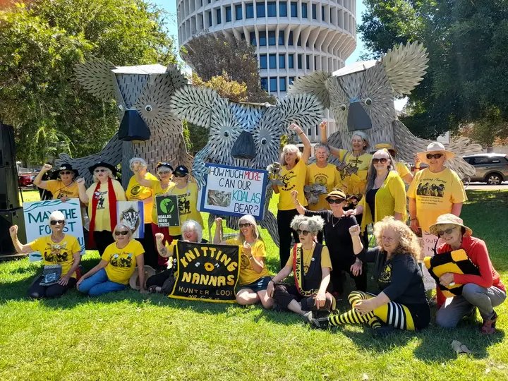 Midcoast_KNAG's tweet photo. The #KnittingNannas from Central Coast, Hunter, Midcoast & Gloucester came out to join 1000's across Australia to #MarchforForests
It's way past time, that our Governments #EndNativeForestLogging
and protect our wildlife as they so
deserve.
#FightforForest
#WorthMoreStanding https://t.co/CrrR3OUjm0
