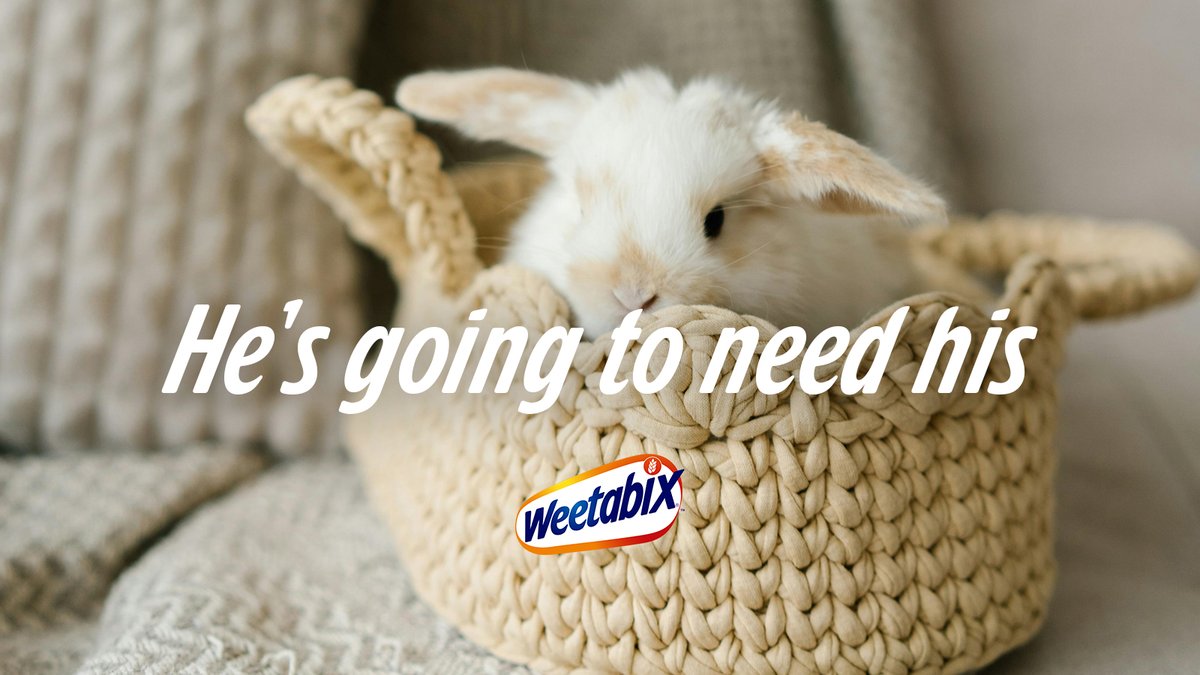 To the egg hunters and egg hiders, you’re going to need yours…​ #HaveYouHadYourWeetabix
