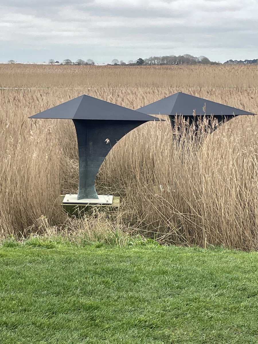 #AllMetalMonday sculpture in the reeds at Snape Maltings - ‘Migrant’ by Alison Wilding