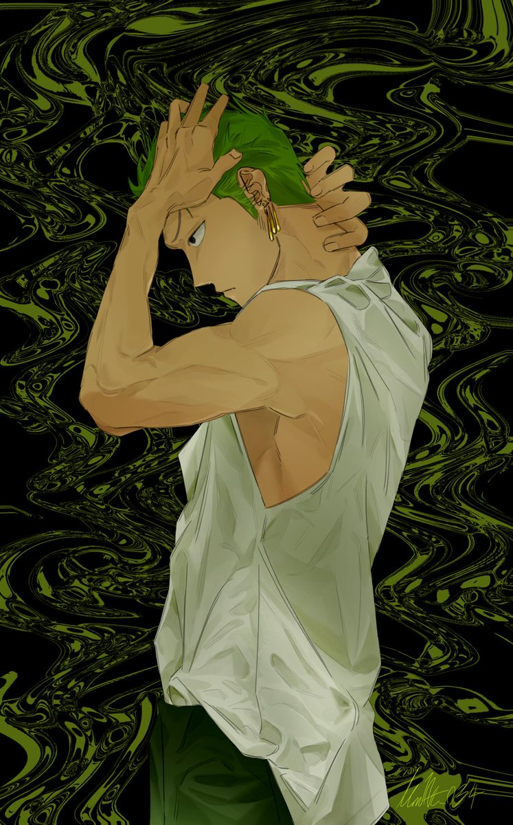 #ONEPIECE #zoro 
사진모작