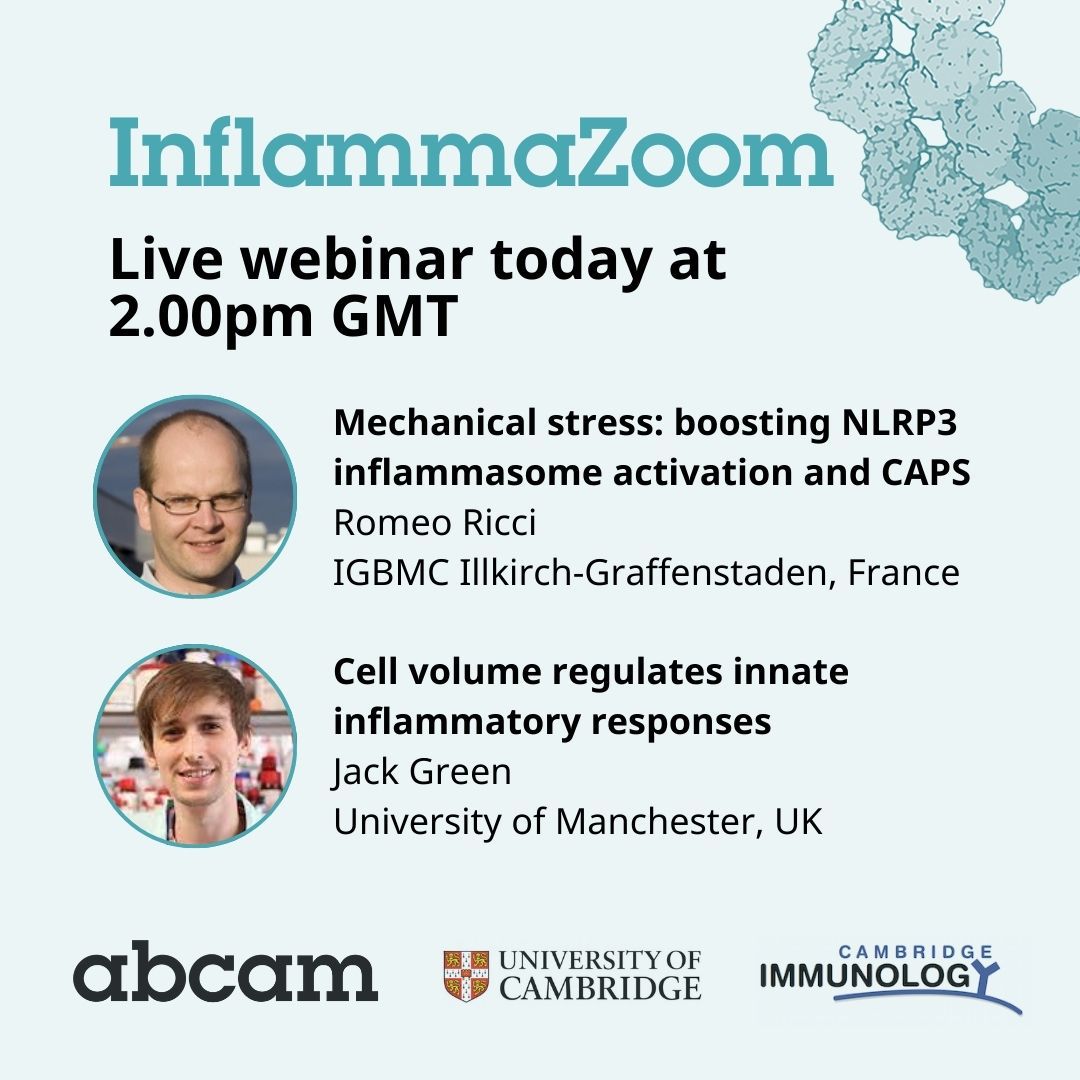 Join us at 2pm for talks on the regulation of innate inflammatory responses by cell volume and how mechanical stress boosts NLRP3 inflammasome activation at @‌Inflammazoom, our free webinar series on #innateimmunity Use the link to join: bit.ly/4cqHZo2