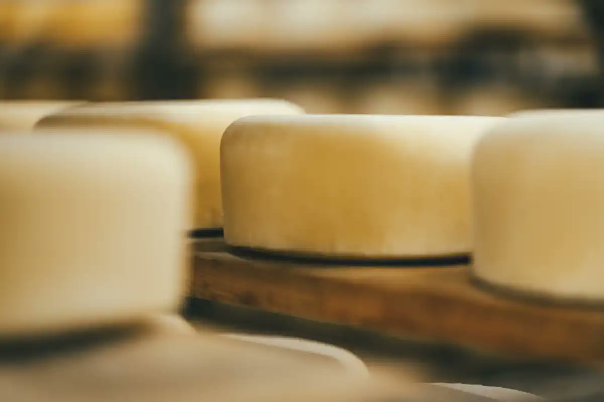 turistickeprice's tweet photo. Did You know that the island of Pag is famous by the enigmatic moonscape, salt, lamb and... cheese. Appreciated for its quality and recognition Pag cheese has won awards on several occasions
#PagCheese #visitnovalja

https://t.co/78Er1irZ7i https://t.co/YmtLy5dx4m