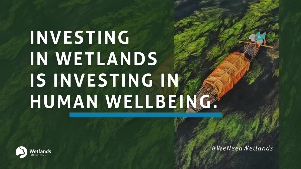 RamsarConv's tweet photo. Healthy wetlands ensure:

💧cleaner water,
🦩 richer biodiversity,
🌱 thriving livelihoods, and
🌎 a more resilient environment

Investing in wetlands is investing in a healthier, happier planet. 💙 #WetlandsMatter https://t.co/w85eo9bB7R