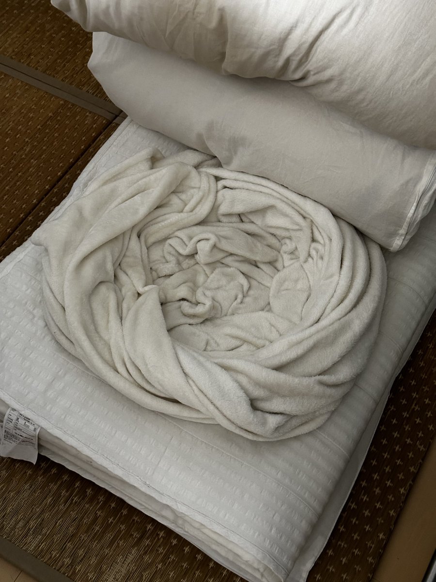 シーズーのズーコ♂ (@shih_tzu_co) / Posts / X