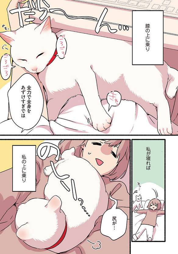 人間に甘えるためなら手段を選ばない猫の話
(2/2)
#漫画が読めるハッシュタグ
#愛されたがりの白猫ミコさん