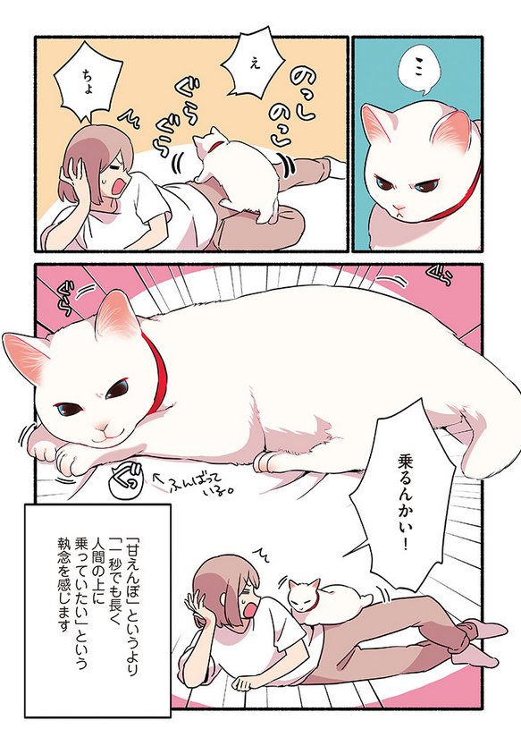 人間に甘えるためなら手段を選ばない猫の話
(2/2)
#漫画が読めるハッシュタグ
#愛されたがりの白猫ミコさん