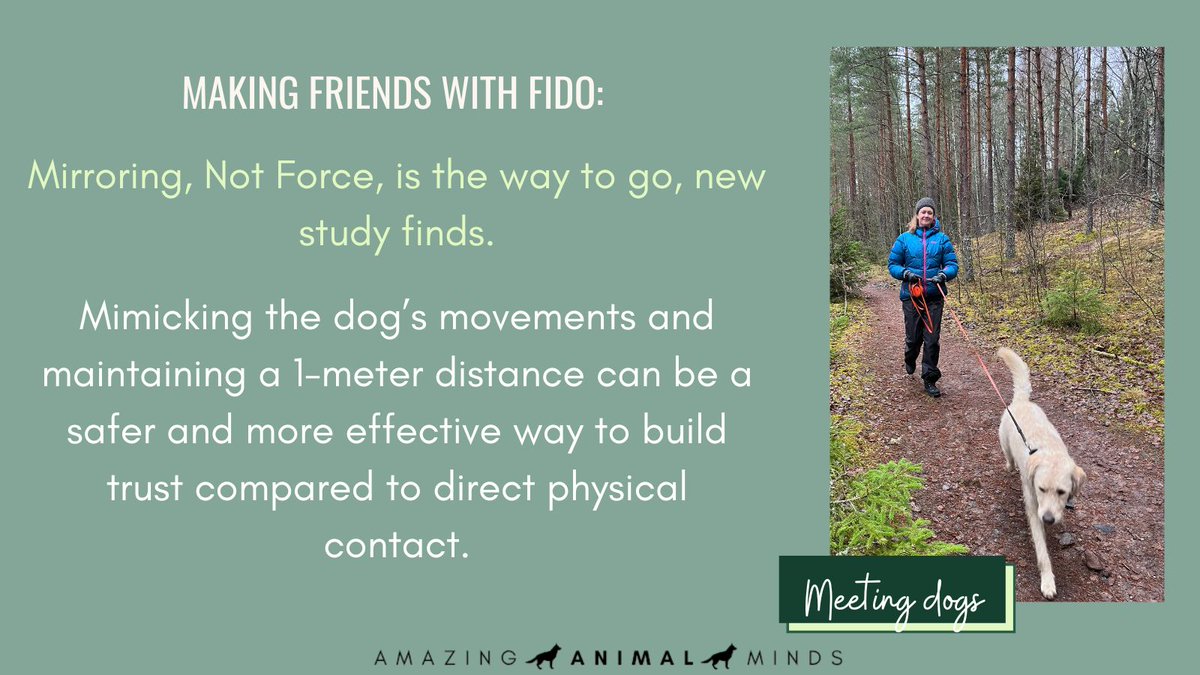 Else Verbeek tweet media