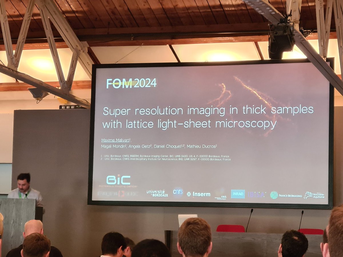 Combining Adaptive Optics with Lattice Lightsheet allows for super-resolution imaging in thick brain slices. Great talk from Maxime Malivert from @BIC_Bordeaux @Fr_BioImaging at #FOM2024