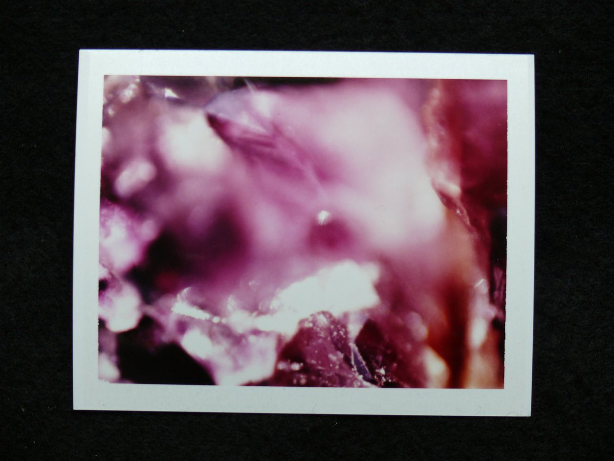 colincharris's tweet photo. Photographs of the natural world in Polaroid form.
-
Made directly from the original 35mm color slide at https://t.co/L0mxYKFXbx
-
-
-
-
-
#Nikon
#nikonphotography
#fujifilm
#filmphotography
#abstractart
#abstractphotography
#analog
#analogphotography
#dailyphoto
@MacroHour https://t.co/qGe0AckhvL