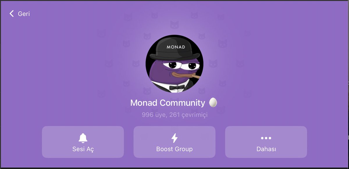 KriptoLisa tweet media