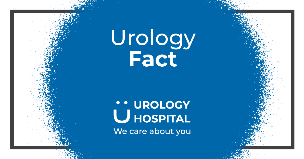 UrologyHospital's tweet photo. Kidney cancer is among the 10 most common cancers in both men and women. 

If you are concerned about the health of your kidneys, make an appointment with one of our urologists: https://t.co/Mzya2mmw0L https://t.co/pWkRTry37i