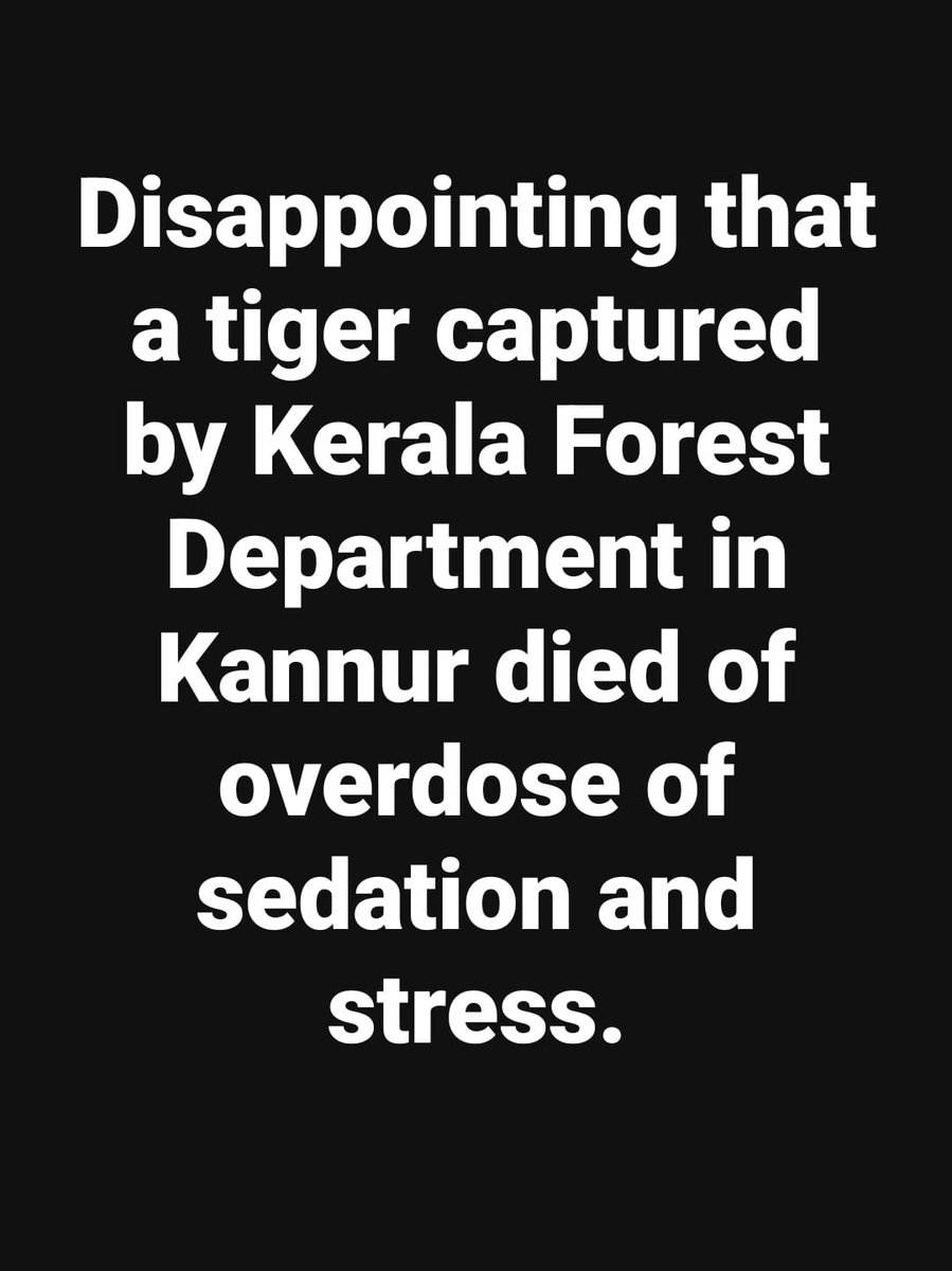 The Kannur Tiger has been Shot Dead.The central govt should declare Kerala as a state without wildlife protection.@moefcc @ntca_india @byadavbjp @rameshpandeyifs @AshwiniKChoubey @Manekagandhibjp @HariniVenugopa2 @AwbiBallabhgarh @narendramodi @rashtrapatibhvn @ForestKerala