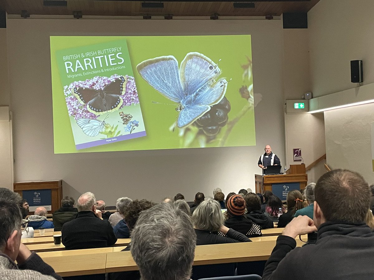 On Saturday I helped with the <a href="/BritishSpiders/">BAS</a> BENHS Members Day <a href="/morethanadodo/">Oxford University Museum of Natural History</a>. I only managed to attend one talk by Pete Eeles on British and Irish Rarities. Thanks @ukbutterflies for the shout out!