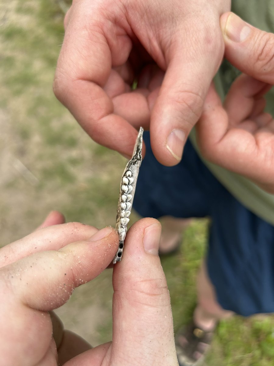 Matthew O'Donnell tweet media