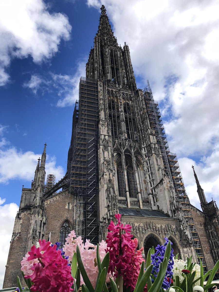 Pascal R. tweet media