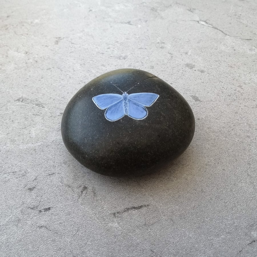 Morning, happy new week. Sharing just one of my handpainted butterfly stones available in my shop on Folksy; folksy.com/items/8232493-… #folksy #art #painting #stones #butterfly