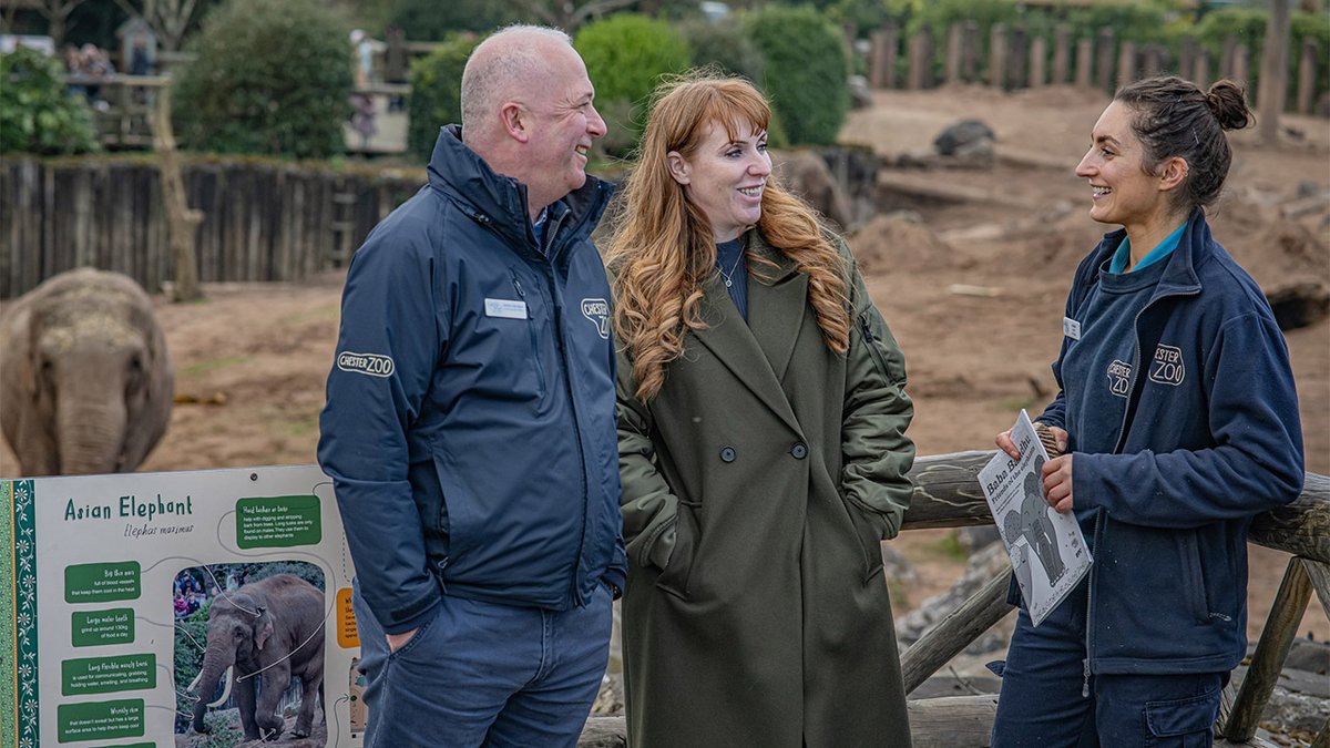 Labour’s deputy leader Angela Rayner has hailed “nationally leading” Chester Zoo following a visit to learn more about its pioneering conservation work. sbee.link/bxdmj4rpwn