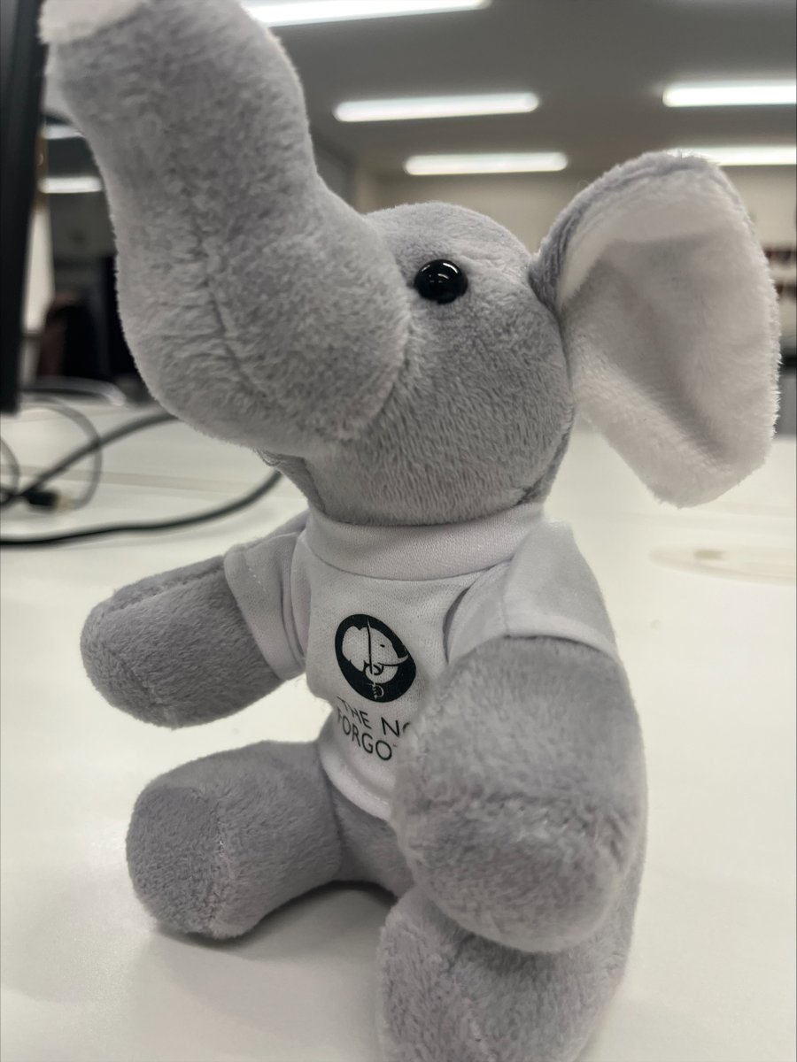 COMPETITION TIME! We need a fun, inventive or meaningful name for our new TNF cuddly elephant... got an idea? LIKE this post, COMMENT below with your suggested name and RETWEET this post by 12noon Weds to enter the draw to win your own elephant and have your suggested name used!
