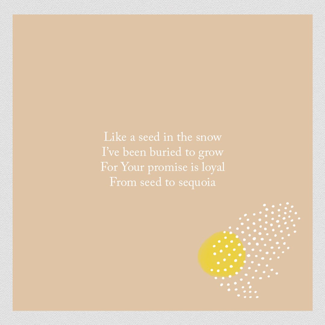 faiusobacterium's tweet photo. “i believe that my season will come”

good luck to all rmts, hoping we all get to our own season ✨ https://t.co/rC3gNtebYL
