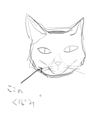 最近ちょっとだけあがったキャット解像度 
