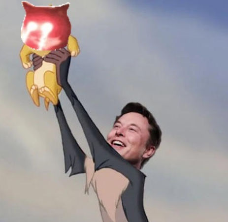 CatPredator1's tweet photo. @elonmusk @elonmusk cat Predator! https://t.co/UrZJNrx1QO