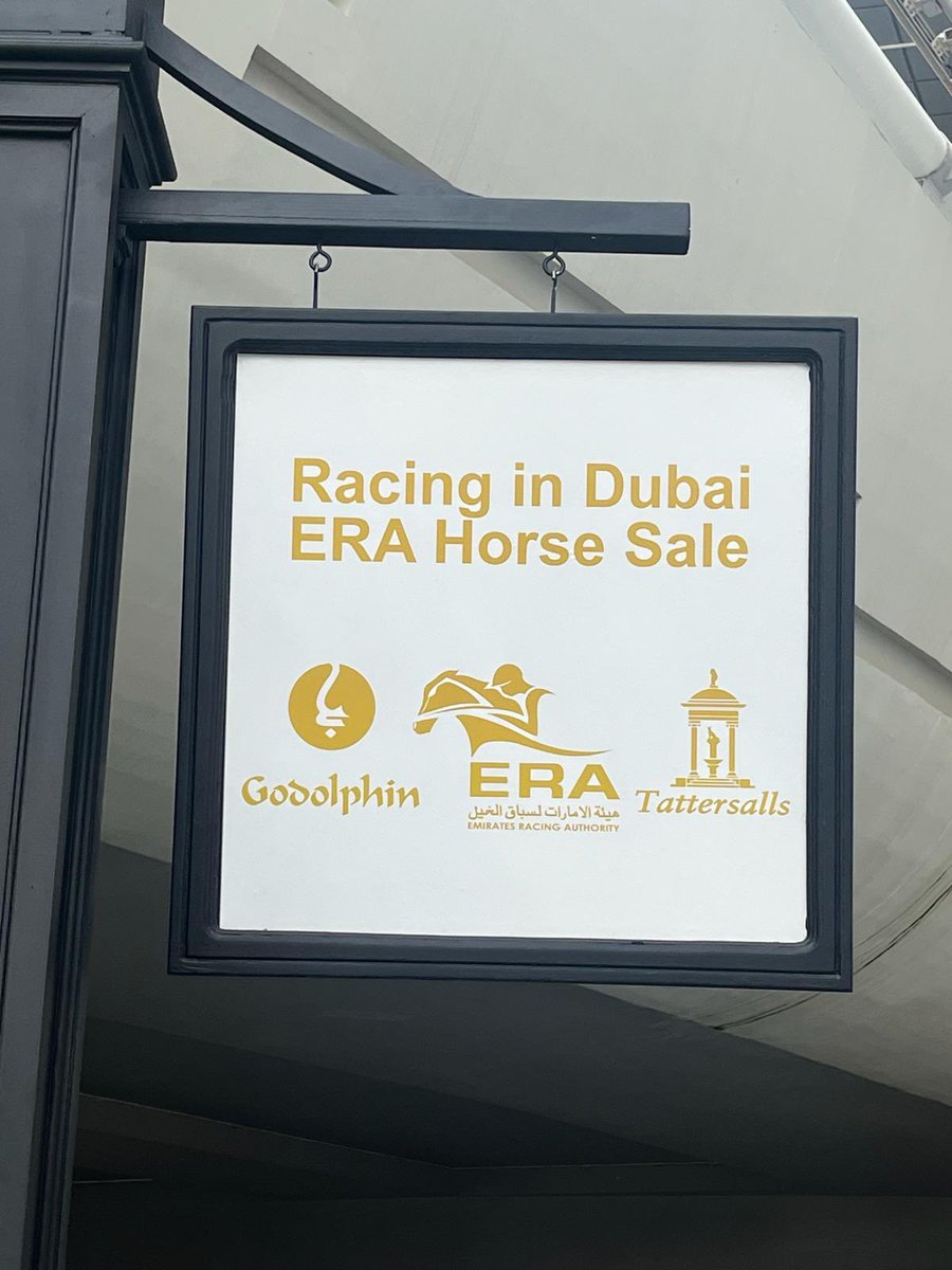 🇬🇧 Viewings of our 47 lot draft are well underway ready for the @RacingEra #RacingInDubai Sale tomorrow at 8:30pm 🇦🇪📖 📷 Notes, photos and videos can be found here: godolphin.to/xyh7iy