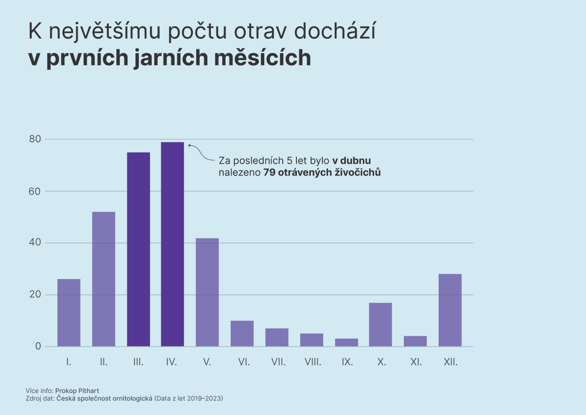 PithartProkop tweet picture