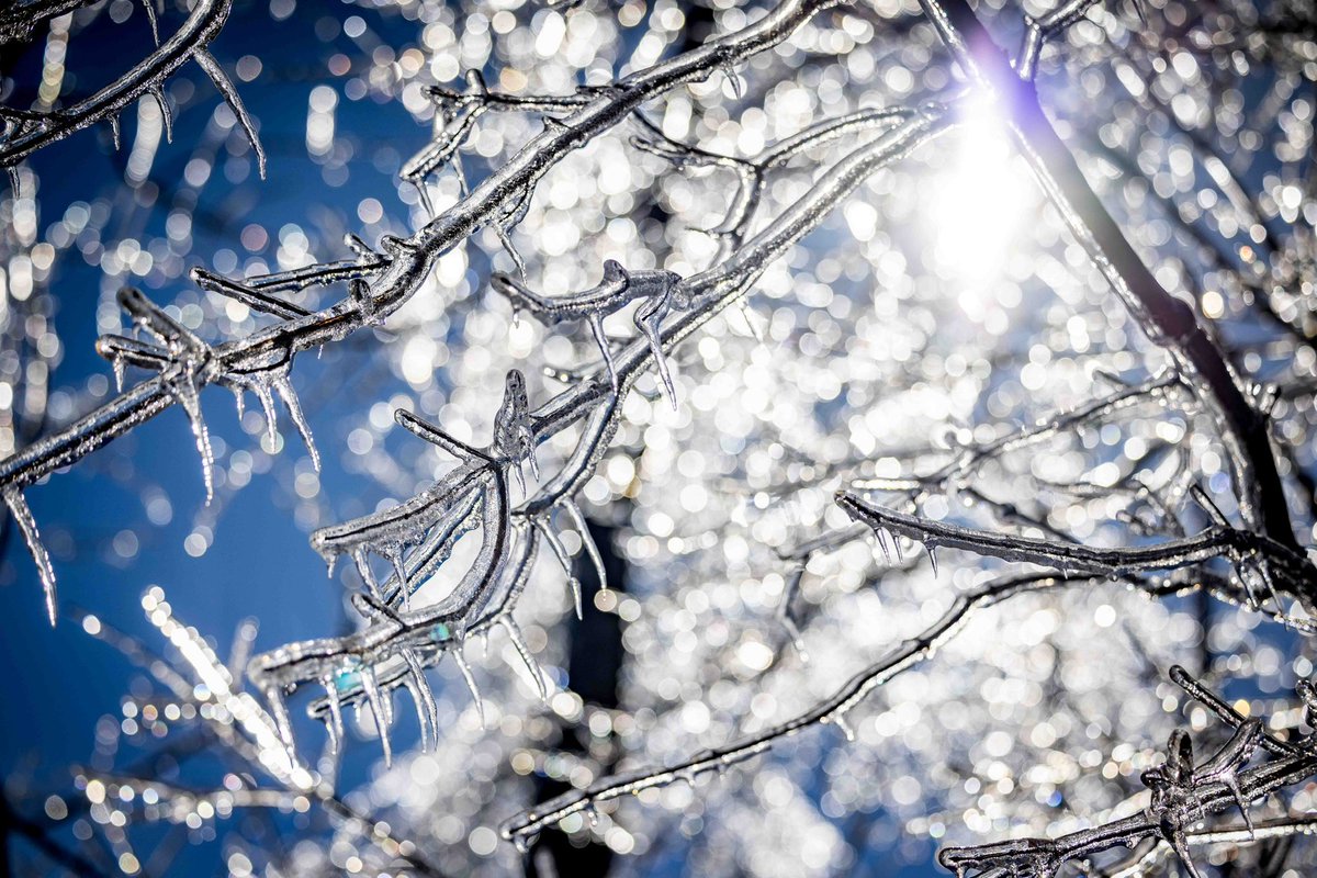 Aaron Frutman (@aaronfrutman) on Twitter photo 5” rainstorm turned frozen overnight 5” rainstorm turned frozen overnight