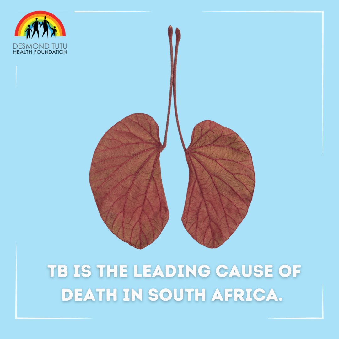 World TB Day, observed annually on the 24th of March, is a global event designed to raise awareness about tuberculosis (TB). Click here to read more about TB in South Africa: bit.ly/49cOnfL #TB #TBawareness #TBday #TBdeaths #TBHIVcoinfection #WorldTBDay #WorldTBDay24