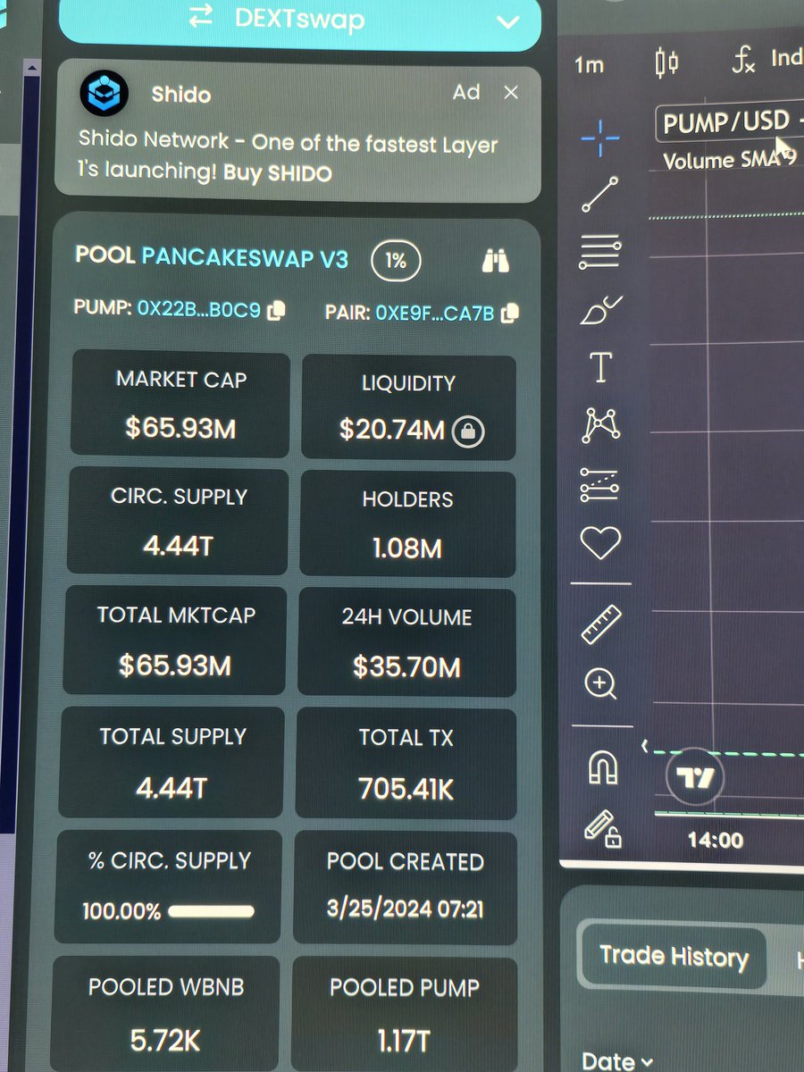 Finally, thick LP landed on #bnbchain with token #pump. If it really Pump harddddd just like $Bome, then I guess bnbchain will suck all the liquidity. Buying this to make the bnbchain great again.