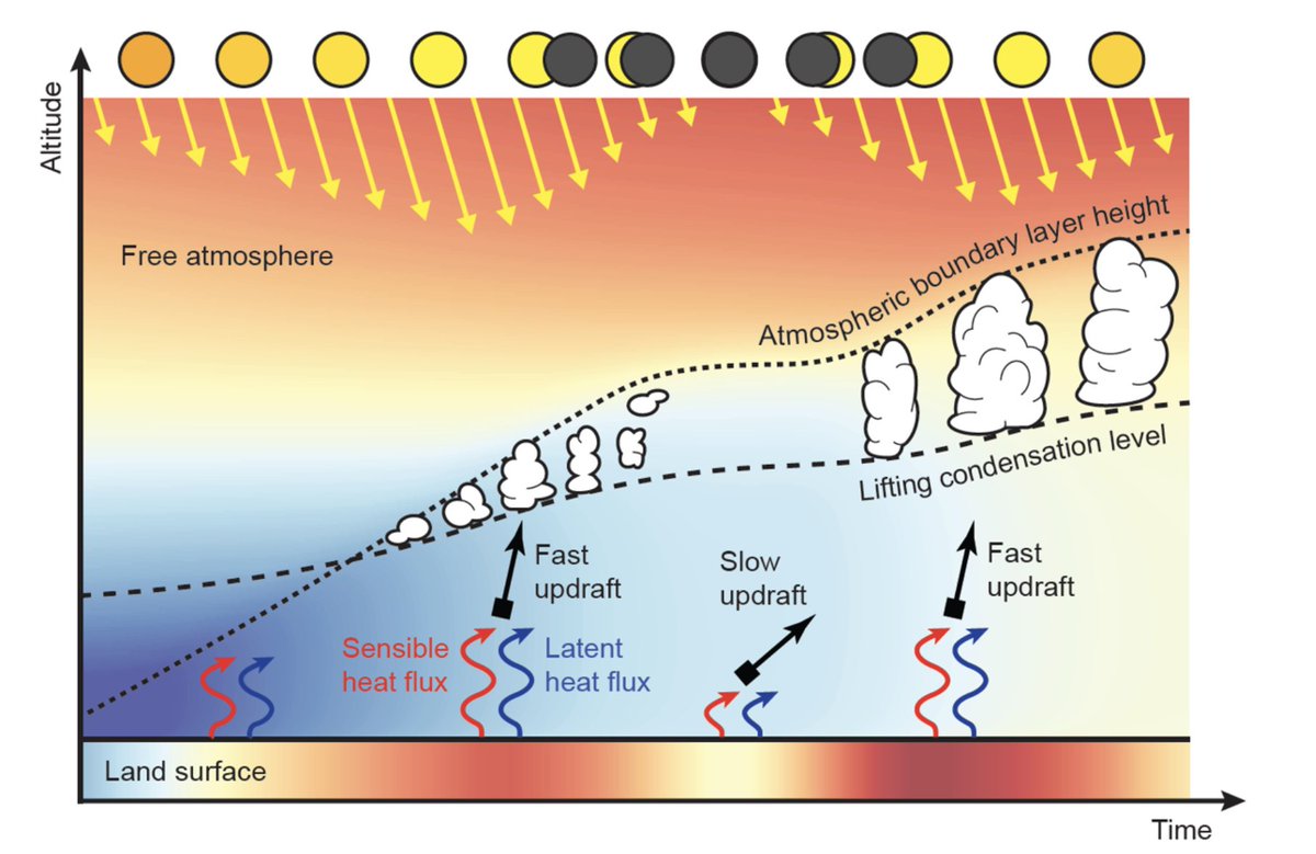 ☁️ Cumulus clouds over land start to disappear almost instantly during a partial solar eclipse. @AETUDelft Alumnus @victortrees did research on the topic and found a new method to recover lost satellite measurements. 👉🏼 tudelft.nl/en/2024/citg/c…☁️