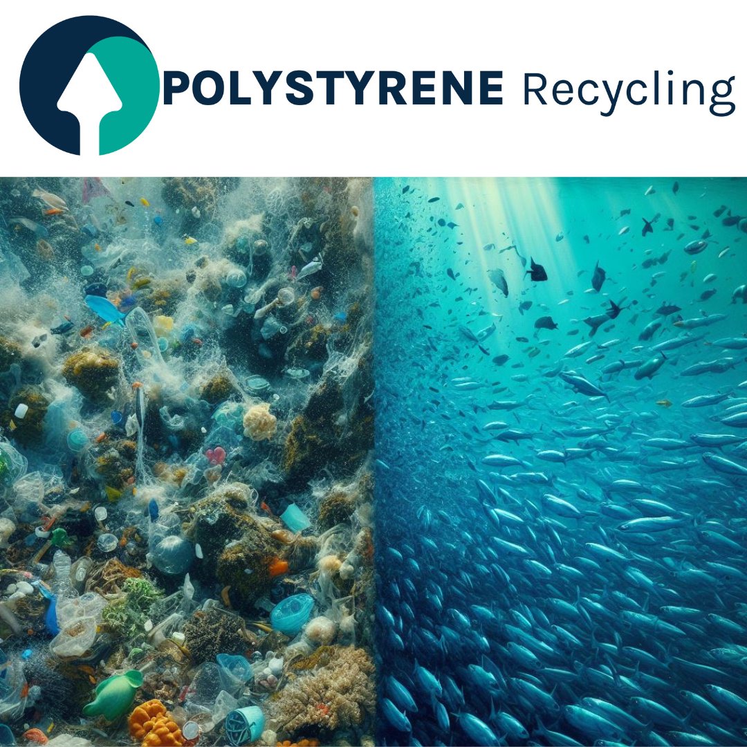 Our choices matter. Let's choose a cleaner, healthier future for all. ♻️🌊 #AgainstPollution #PolystyreneRecycling