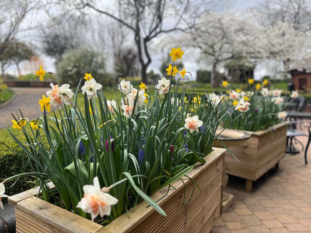 🪻Spring has well and truly sprung! 🪻

Our hospice garden is looking beautiful.  😍

Whatever the season, our amazing gardening volunteers continue to care for it so well. ❤️